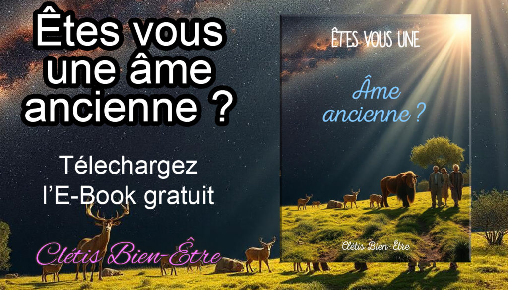 E-Book Êtes-vous une âme ancienne ?