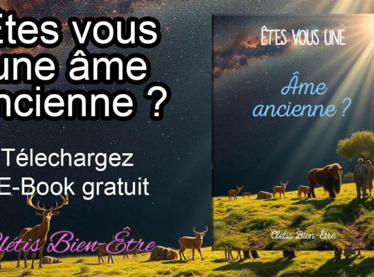 E-Book Êtes-vous une âme ancienne ?